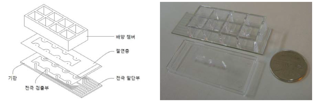 세포 임피던스 측정을 위한 세포칩 모식도(왼쪽) 및 ITO 전극 기반의 제작한 세포칩(오른쪽).