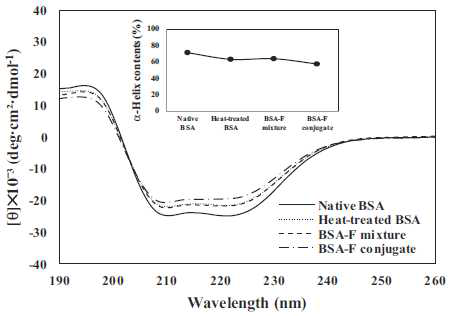 Circular dichroism spectra of native bovine serum albumin (BSA) (solid line), heat-treated BSA (dotted line), BSA–fucoidan (F) mixture (dashed line), and BSA–fucoidan conjugate (dash-dot line). The inset represents the relative a-helix contents of the samples.