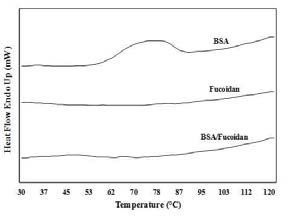 Differential scanning calorimetry thermograms of BSA, fucoidan and BSA/fucoidan mixture at pH 4.0