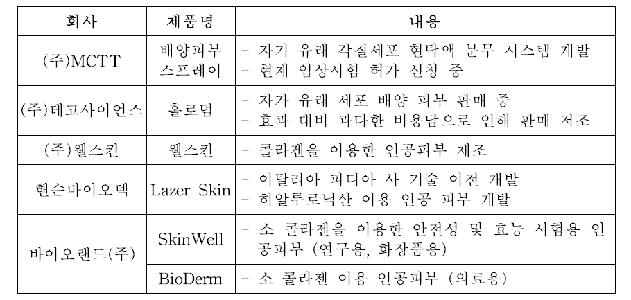 국내 인공피부 기술 현황