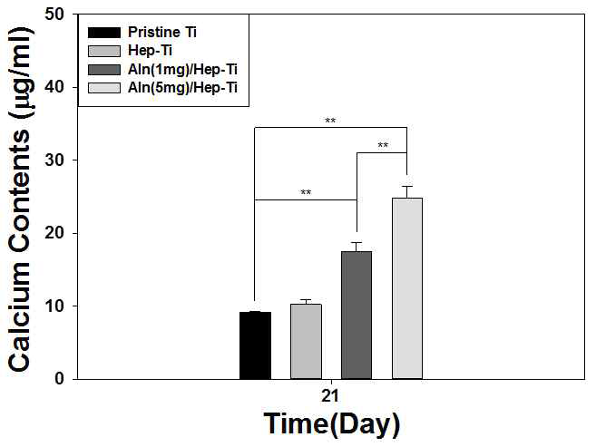 티타늄 및 기능화된 티타늄 임플란트의 조골세포에서 칼슘 함량 측정