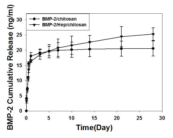 키토산 지지체로부터 BMP-2의 방출 거동 곡선