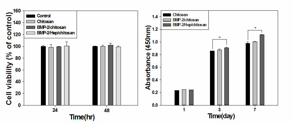 BMP-2가 고정화된 키토산 지지체의 세포에 대한 독성 (좌) 및 세포 증식도 평가 (우)