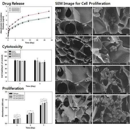 Alendronate가 고정화된 키토산 지지체의 약물방출, 세포독성, 세포증식 및 SEM 이미지