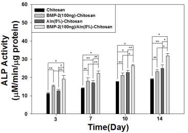 BMP-2 및 alendronate가 고정화된 키토산 지지체의 세포에 대한 알칼리성 포스파타제 활성도