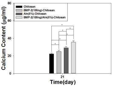 BMP-2 및 alendronate가 고정화된 키토산 지지체의 세포에 대한 칼슘함량 측정