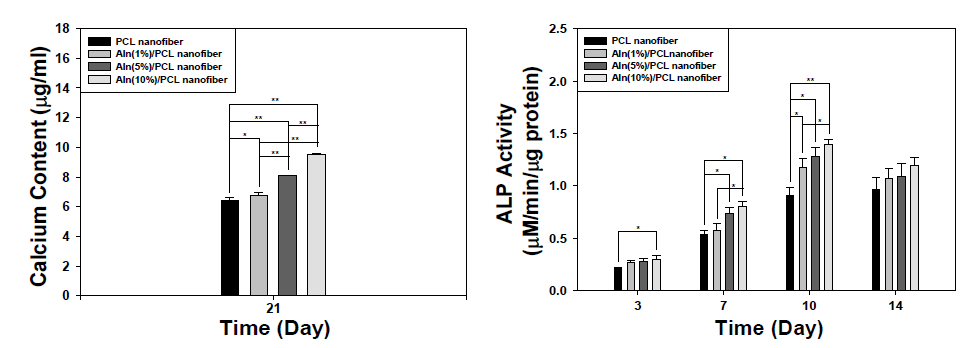 Alendronate 약물 함유 PCL 나노섬유의 ALP 활성도 및 칼슘 함량 분석