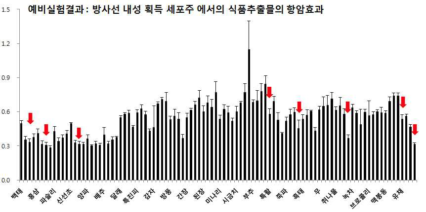 예비실험 결과 요약