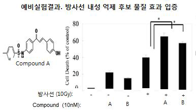 방사선 내성억제 후보물질 검증 결과