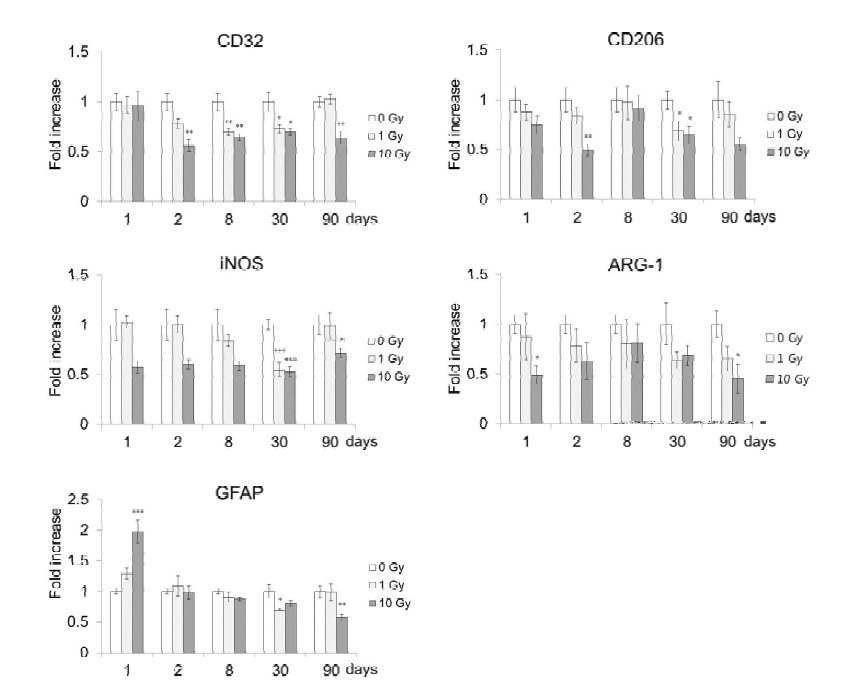 Dose-dependent changes in the mRNA levels of inflammatory related enzymes in the mouse hippocampus after cranial irradiation (0 - 10 Gy).