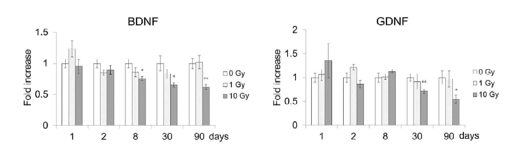 Dose and time-dependent changes in the mRNA levels of neurotrophic factors in the mouse hippocampus after cranial irradiation (0-10Gy)