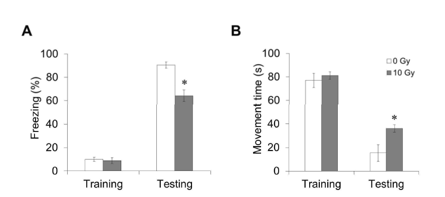 Irradiated mice display a deficit in contextual fear conditioning. Sham-irradiated controls (0 Gy) and mice irradiated with 10 Gy of gamma ray underwent contextual fear conditioning (n = six for each group).