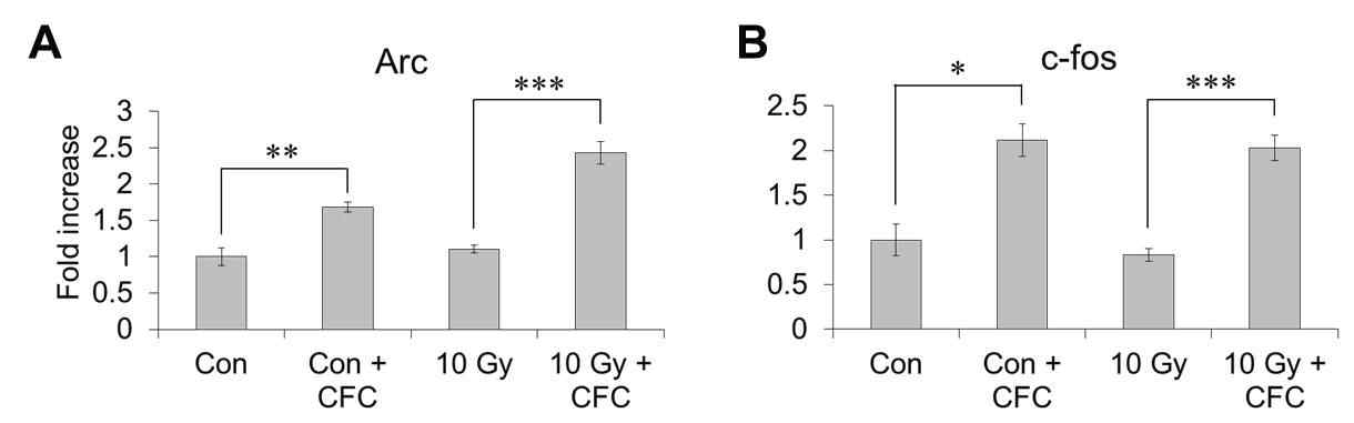 Changes in the mRNA levels of Arc (A) and c-fos (B) in the mouse hippocampus after 2 days after cranial irradiation with 10 Gy.