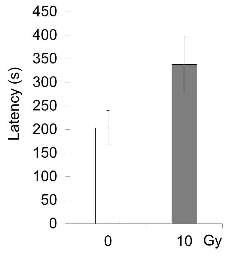 Novelty-suppressed feeding test at 1 month after cranial irradiation.