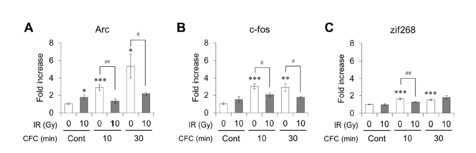 Changes in the mRNA levels of Arc, c-fos, and zif268 expression in the hippocampus following fear conditioning with and without cranial irradiation.