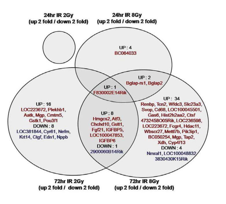 Analysis of radiation-response genes by microarray in irradiated C17.2 cells.