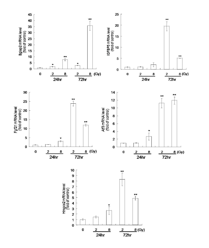 Effect of IR on radiation-response genes in C17.2 cells