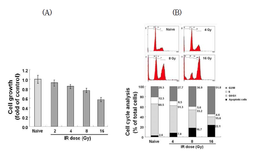 Effect of IR on cell growth and cell cycle in Neuro-2a cells.