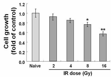 Effect of IR on cell growth in C17.2 cells.