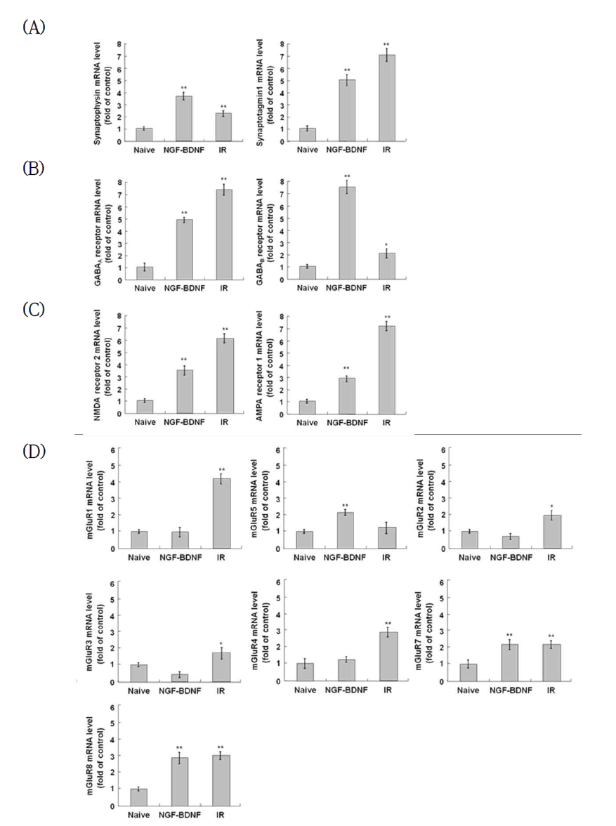 Induction of neuronal function-related genes by IR in C17.2 cells.