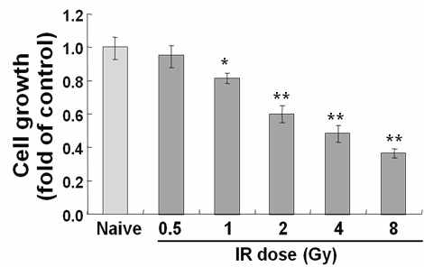 Effect of IR on cell growth in mouse primary neural stem cells.