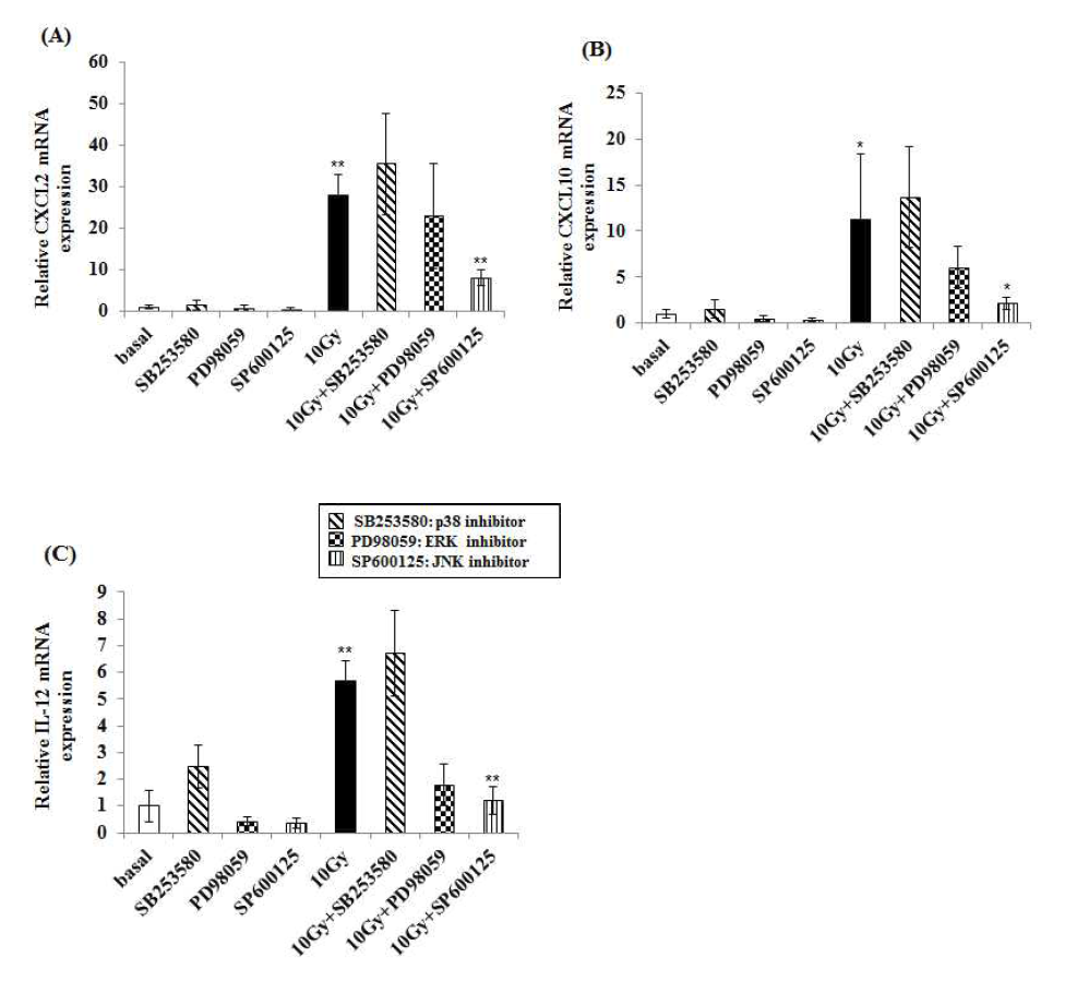 Inflammatory chemokine or cytokine expression induced by irradiation is suppressed via JNK inhibition.