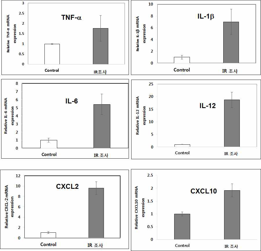 The mRNA levels of inflammatory cytokine and chemokines in irradiated BV-2 cells cultured in serum-starved media (0.1% FBS).