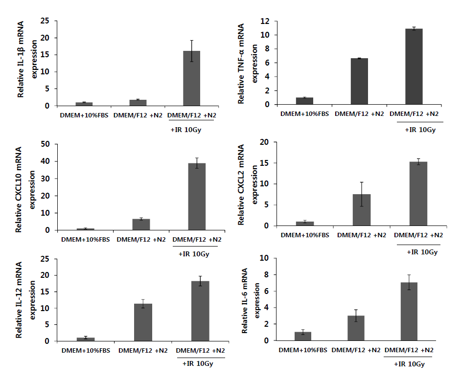 Induction of inflammatory cytokine and chemokine by irradiation in BV-2 cells cultured in DMEM/F12 (+N2 supplement) media