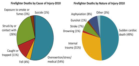 미국 내 순직 소방관의 사망원인에 대한 2010년 통계