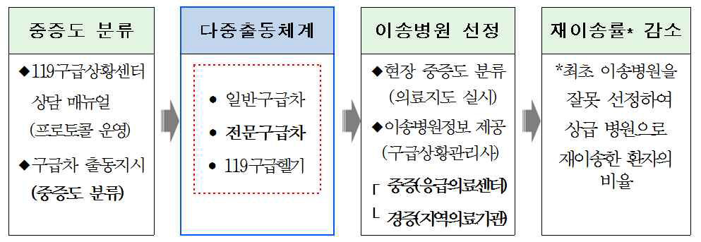 병원 전 119구급차 이송단계별 내용: 다중출동체계