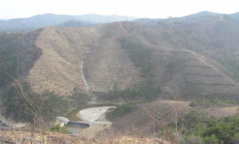 산불피해복구지