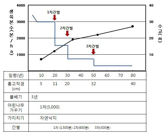 참나무류 천연림 우량대경재 생산 시업체계도