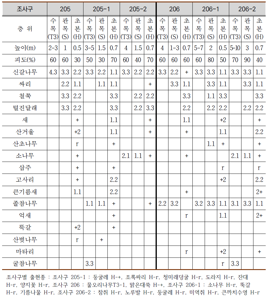 1996년 및 2000년 고성산불(2회 발생) 피해 후 자연복원지의 현존식생