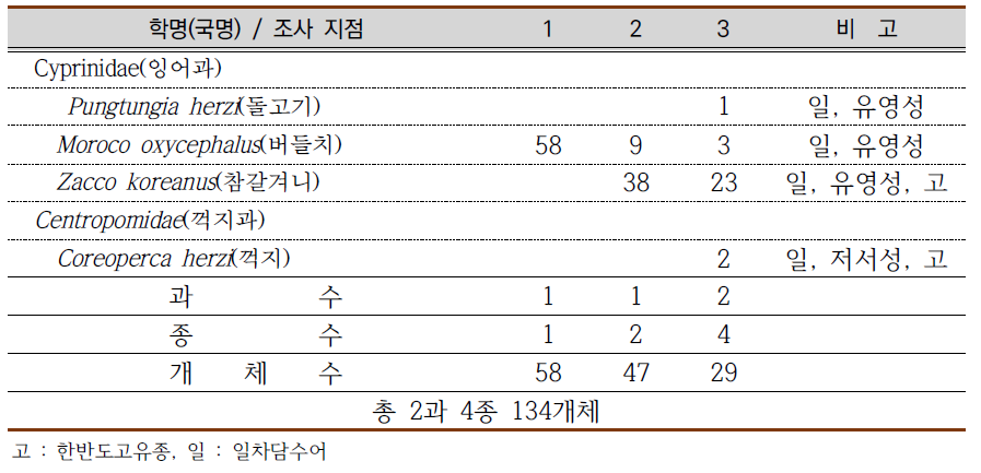 각 조사시점의 어류상과 개체수