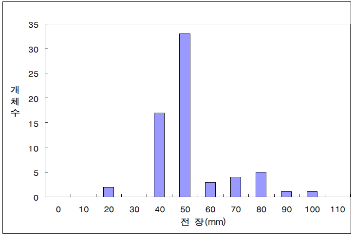 버들치의 체장 빈도 분포도