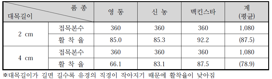 대목 길이별 활착율