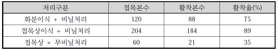 호두나무 유경접목 후 처리별 활착율