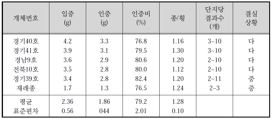 은행나무 우량개체 선발목 과실특성