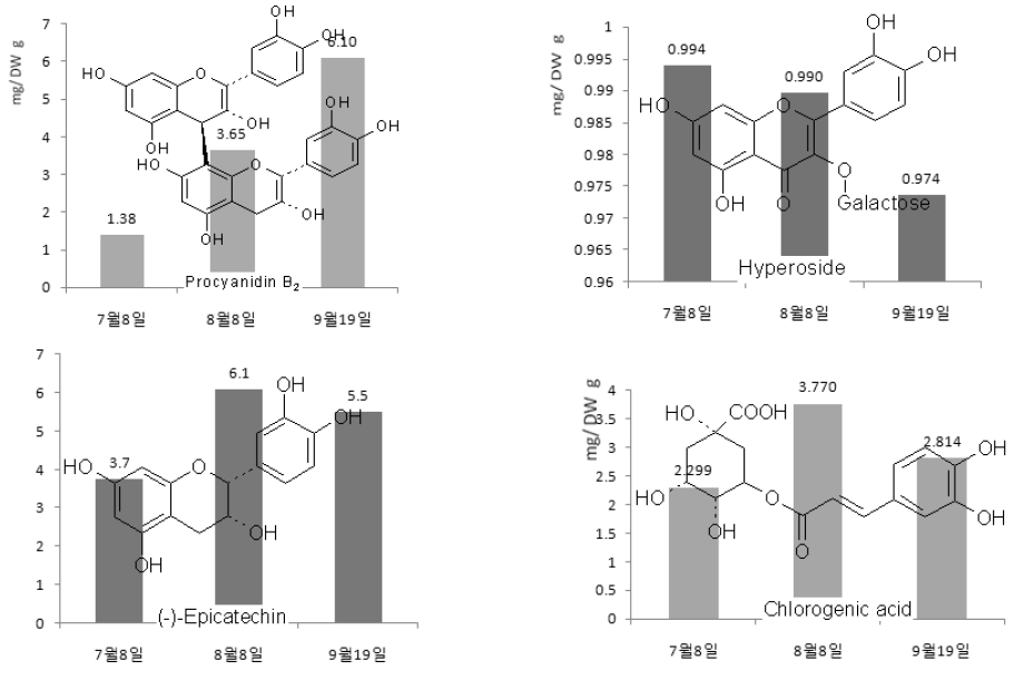 산사열매의 성숙시기별 procyanidine B2, hyperoside, epicatechin, chlorogenic acid의 함량변화