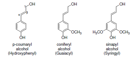 리그닌 페닐프로판 구조 단량체