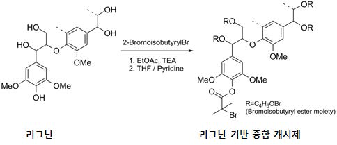 리그닌 기반 중합 개시제 제조 방법