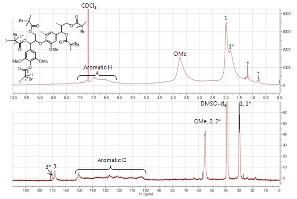 리그닌 기반 중합 개시제(KL-M-4)의 1H 및 13C NMR 스펙트럼