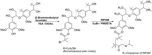 리그닌 N-Isopropylacryamide계 공중합체 제조 모식도