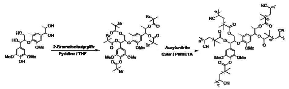 리그닌 Acrylonitrile계 공중합체 제조 모식도