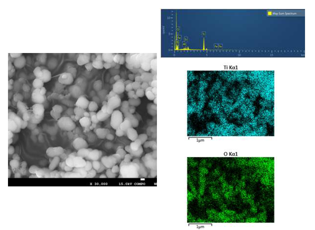 B사의 TiO2 원료물질의 광학분석(SEM-EDS) 분석 결과