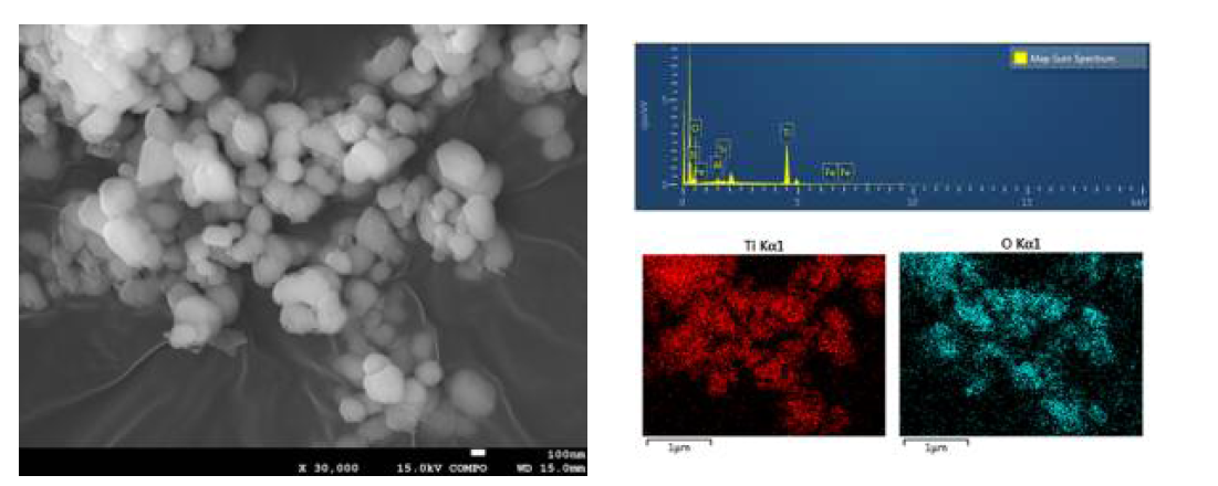 B사의 TiO2 원료물질1의 광학분석(SEM-EDS) 분석 결과