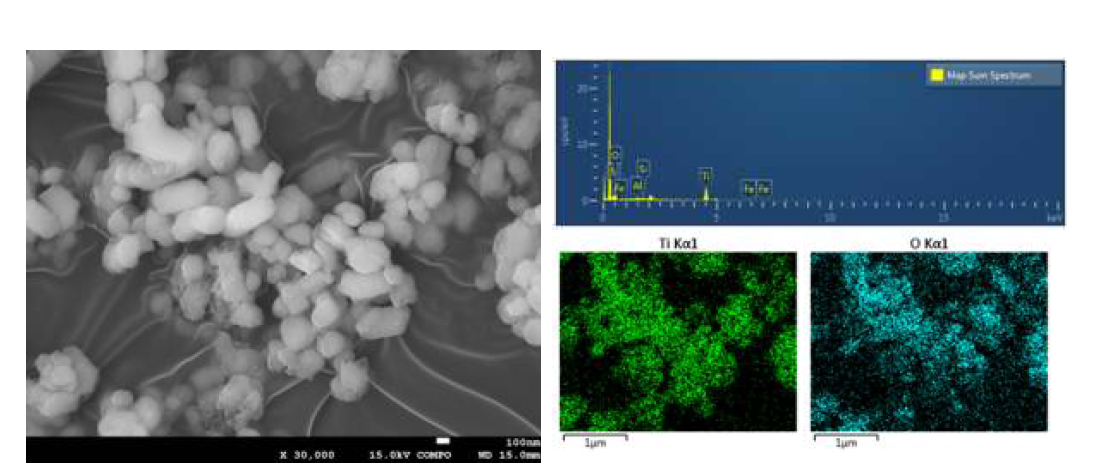 B사의 TiO2 원료물질2의 광학분석(SEM-EDS) 분석 결과