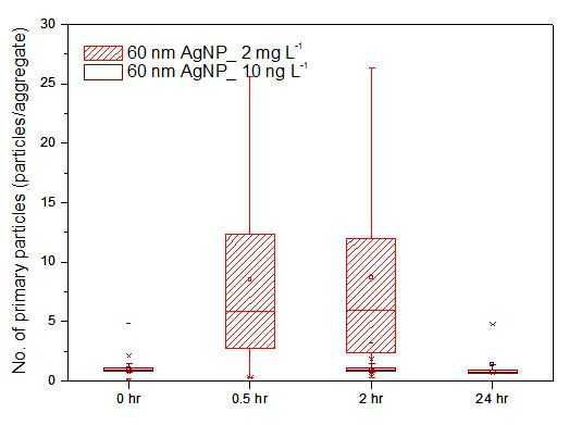 저농도(10ng/L) 및 고농도(2mg/L)의 60nm citrate-AgNP가 85mM NaNO3 용액에 주입 시 시간의 경과에 따라 형성하는 단일 응집체 내 1차 입자의 수