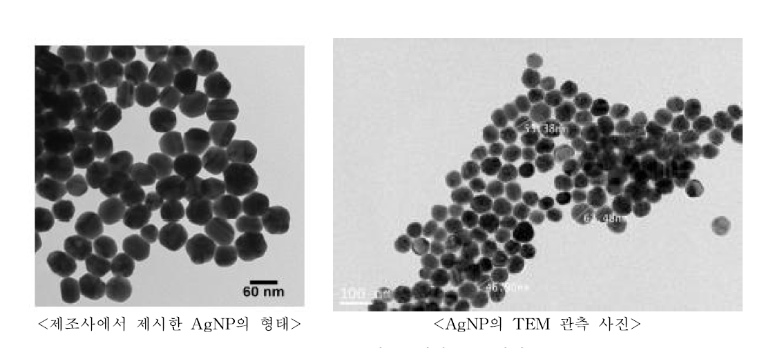 AgNP 시료물질의 TEM 사진