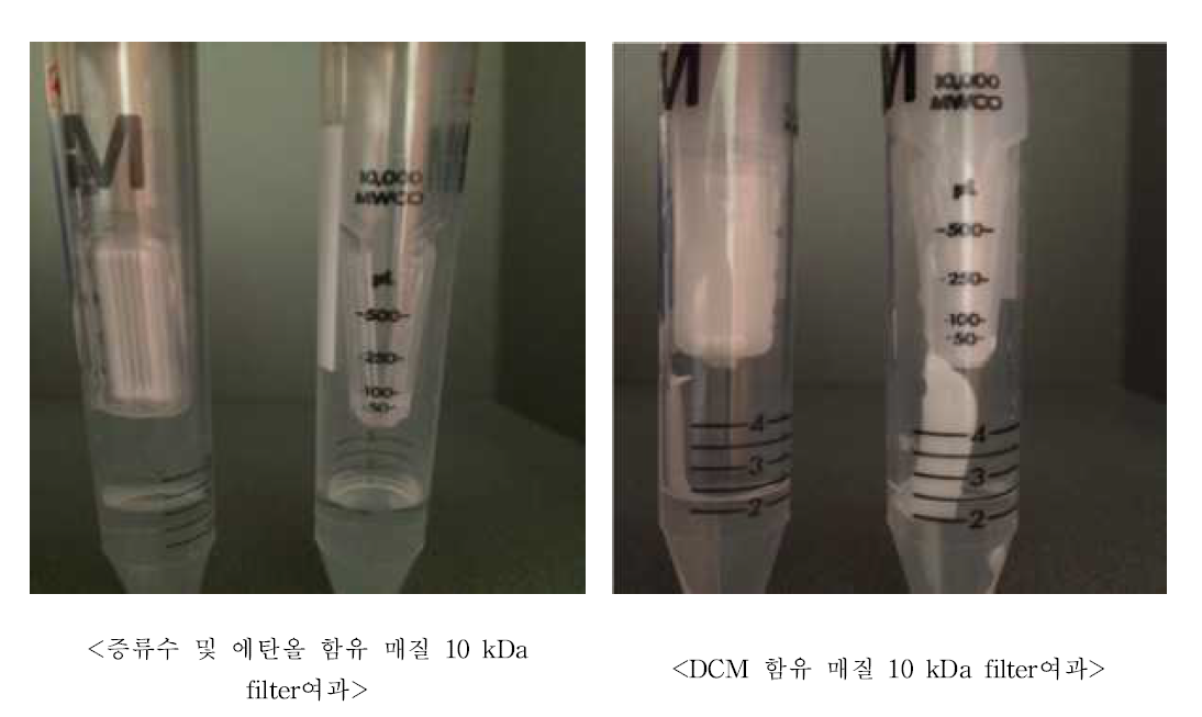 10 kDa 여과 전후의 필터 형태